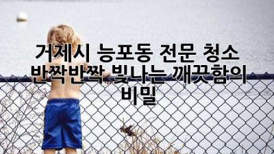 거제시 능포동 전문 청소: ✨반짝반짝 빛나는 깨끗함의 비밀!✨