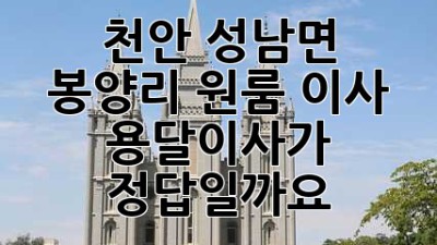 천안 성남면 봉양리 원룸 이사, 용달이사가 정답일까요?