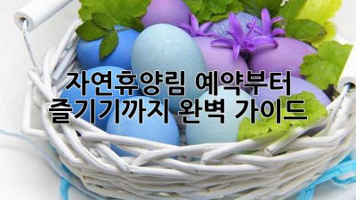 자연휴양림 예약부터 즐기기까지 완벽 가이드