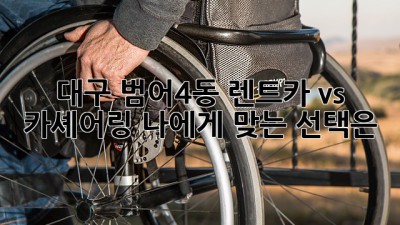 대구 범어4동 렌트카 vs 카셰어링: 나에게 맞는 선택은?